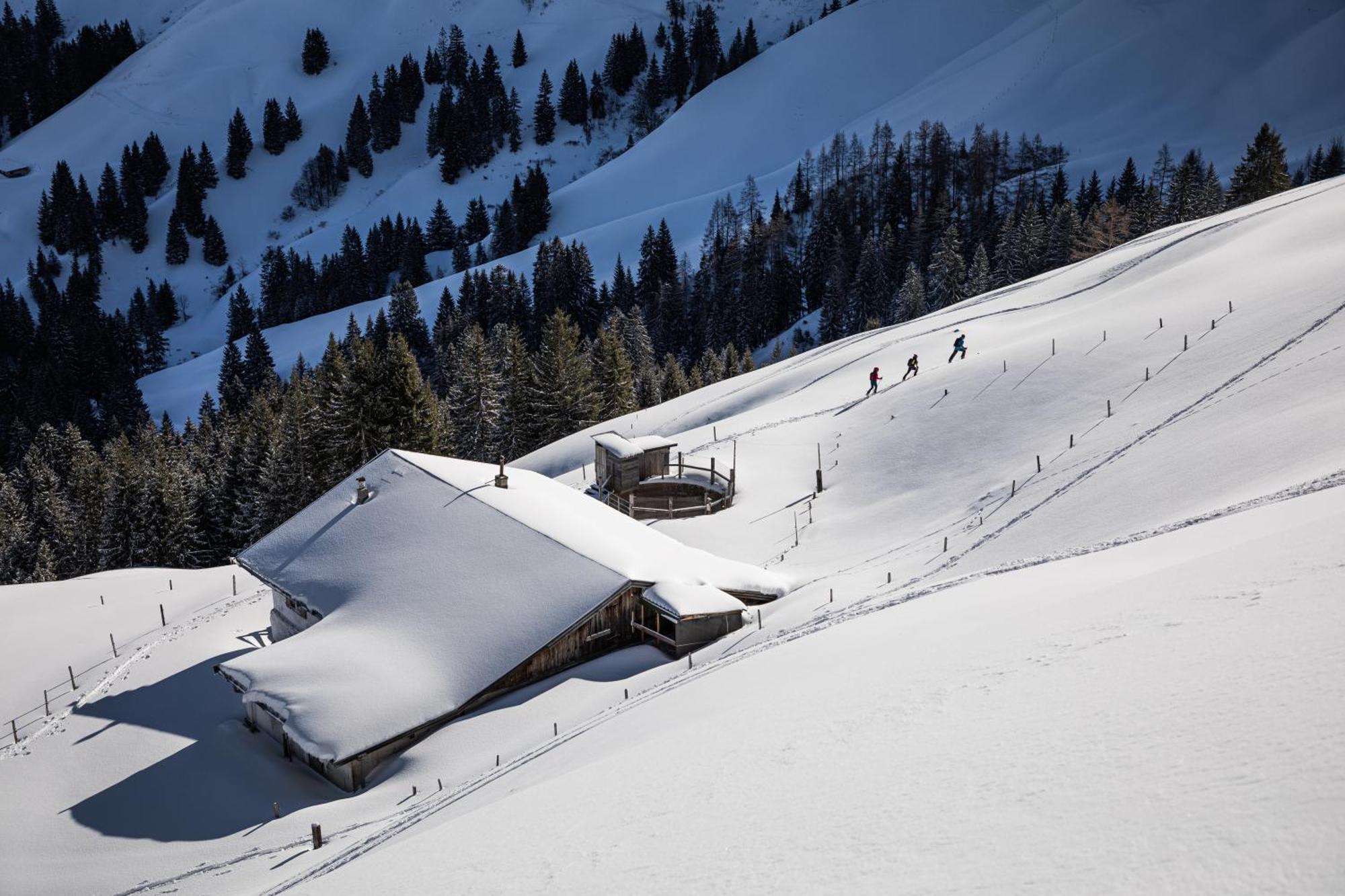Kitzbuehel Suites By Alps Resorts Oberndorf in Tirol Exterior photo
